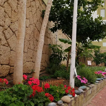 - Orlando Complex Apartment